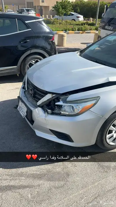 التيما 7