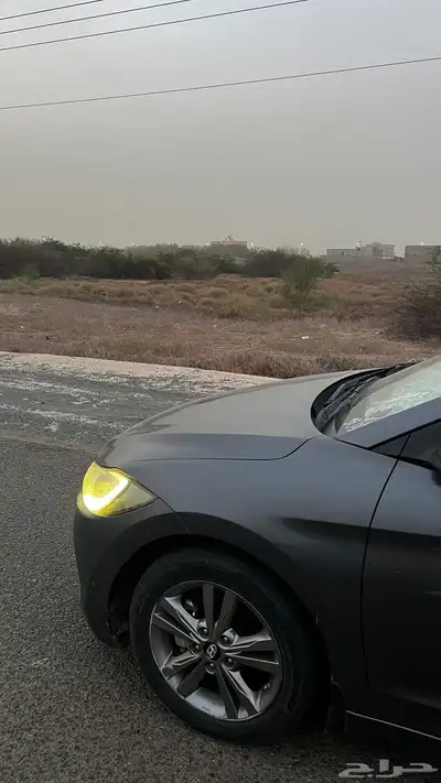 النترا 2017 نص فل 16