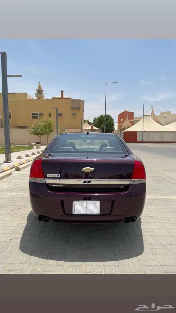 كابرس 15 عنابي 6