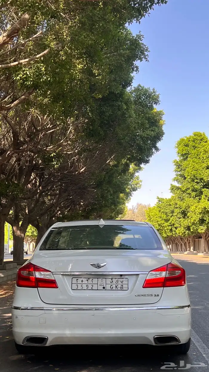 الطائف 1