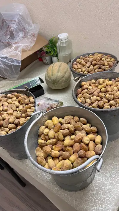 تمر زويند او زويندي 1