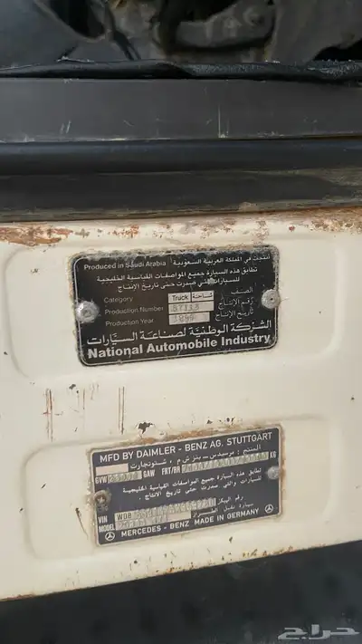 راس سقس البي جفالي 29