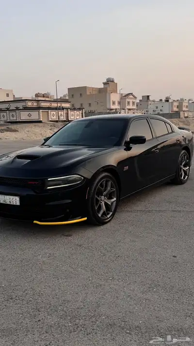 دوج تشاجر 2018 19