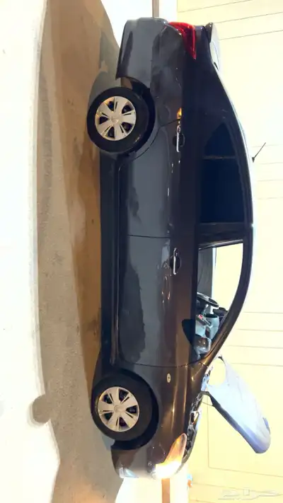 صني 2019 0
