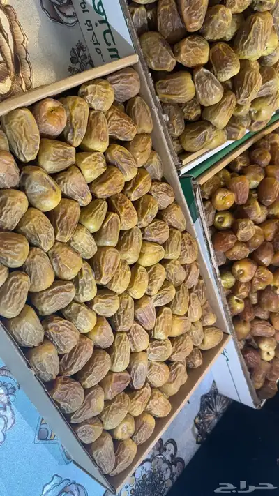 سكري للبيع 2