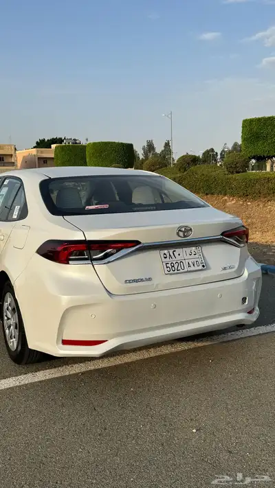 كورلا 2021 وارد عبداللطيف جميل 14