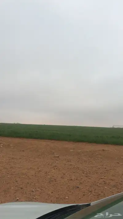 مزرعه بالترمس 0