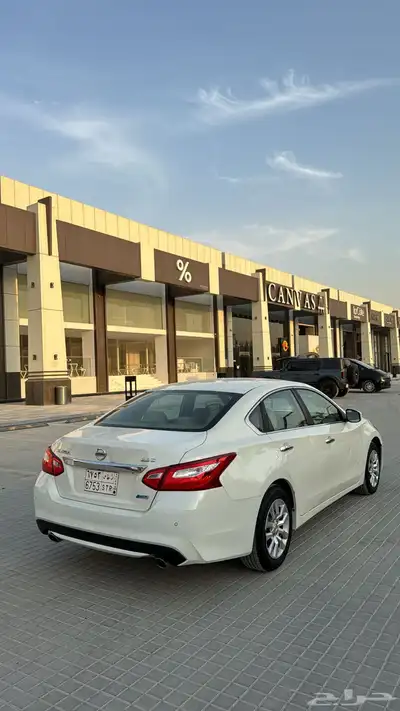 التيما 2017 3