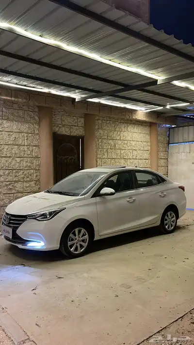 شانجان السفن 2025فل كامل اصفار وكالة 2