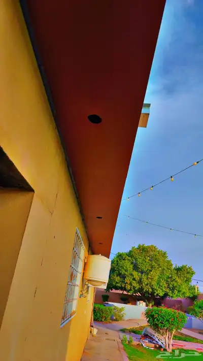 سندويش بنل 7
