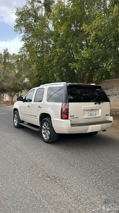 جمس دينالي 2010 3