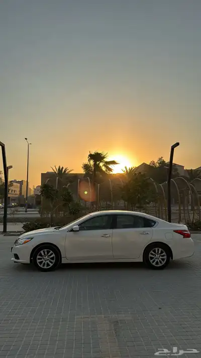 التيما 2017 5
