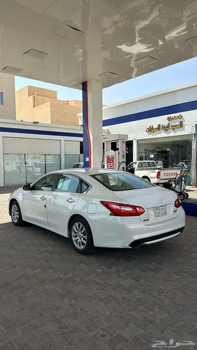 التيما 2017 0