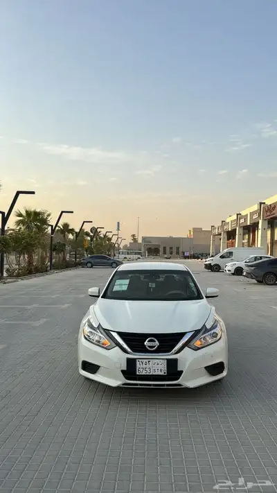 التيما 2017 0