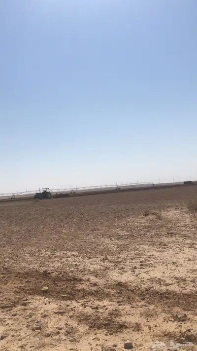 مزرعه بالترمس 2
