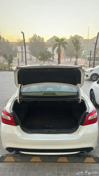 التيما 2017 10