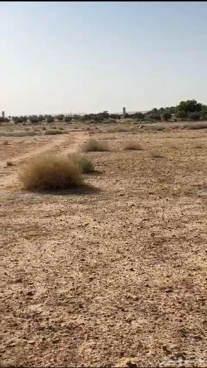 للبيع ارض زراعية في الشقيق 2