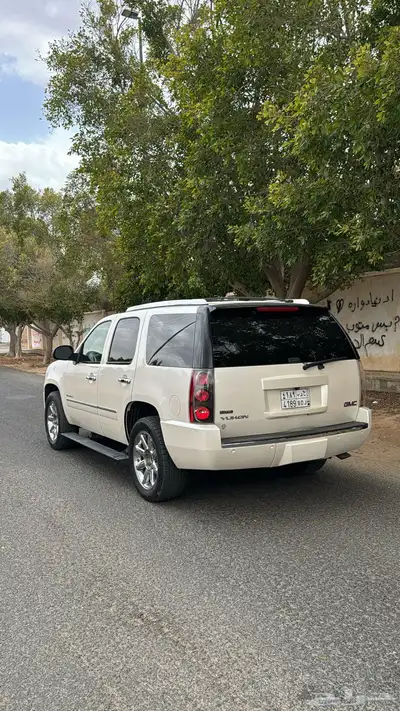 جمس دينالي 2010 4