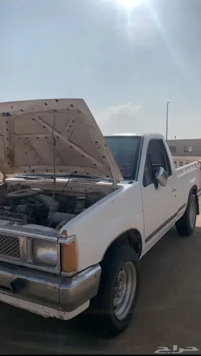 ددسن 91 مسقط 1