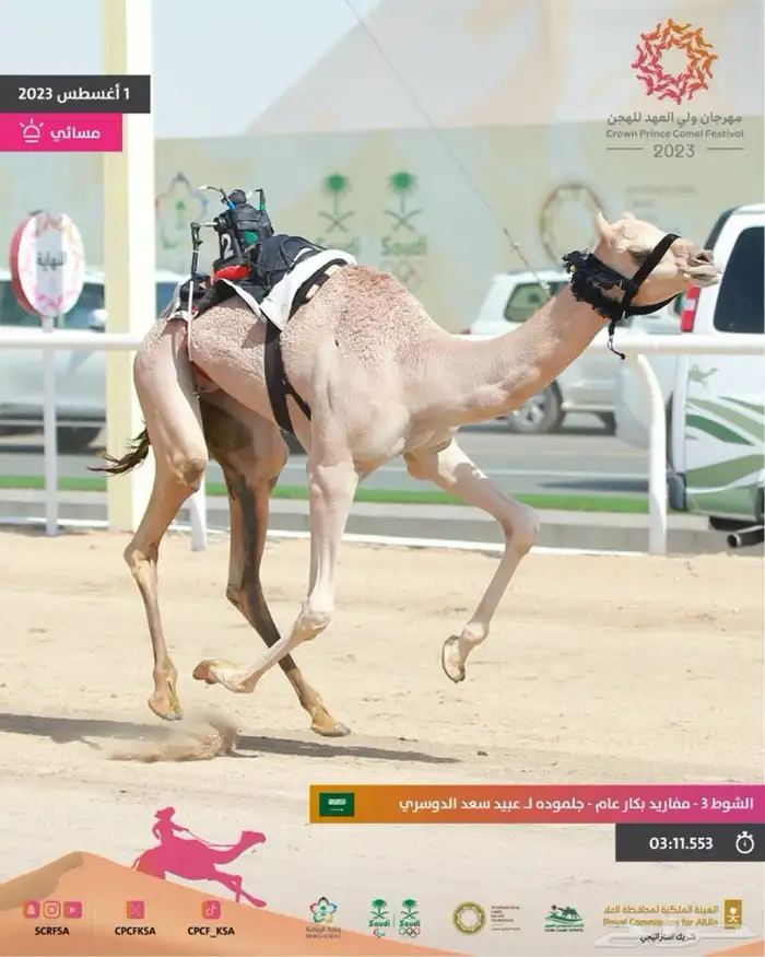 للبيع مفروده على جلمود عبيد سلمان الدوسري 8