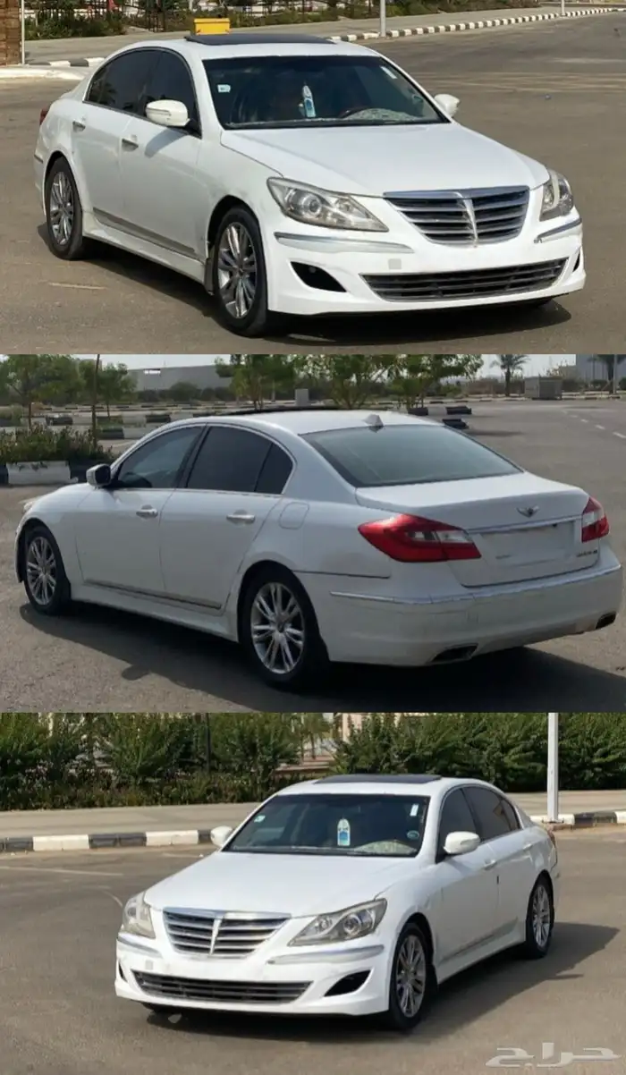 الطائف 6
