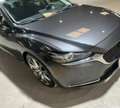 مدرب قيادة محترف 0