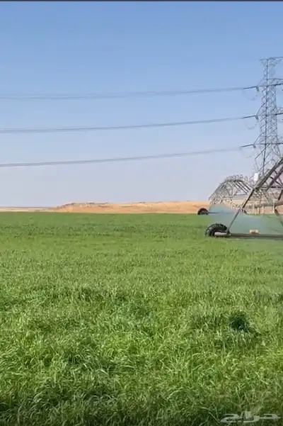 مزرعة للبيع جبل ساق 0