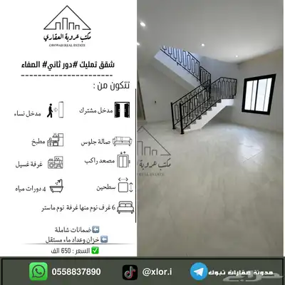 للبيع شقق تمليك دور ثاني حي الصفاء تبوك 6 غرف وصالة 0