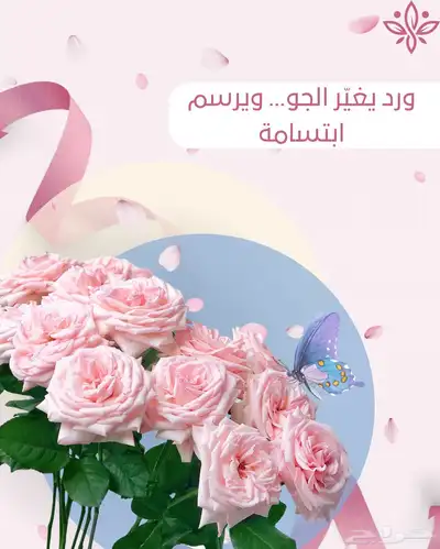خدمة عملاء  ادارة تواصل اجتماعي( سناب- انستقرام) 5