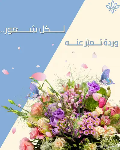 خدمة عملاء  ادارة تواصل اجتماعي( سناب- انستقرام) 4