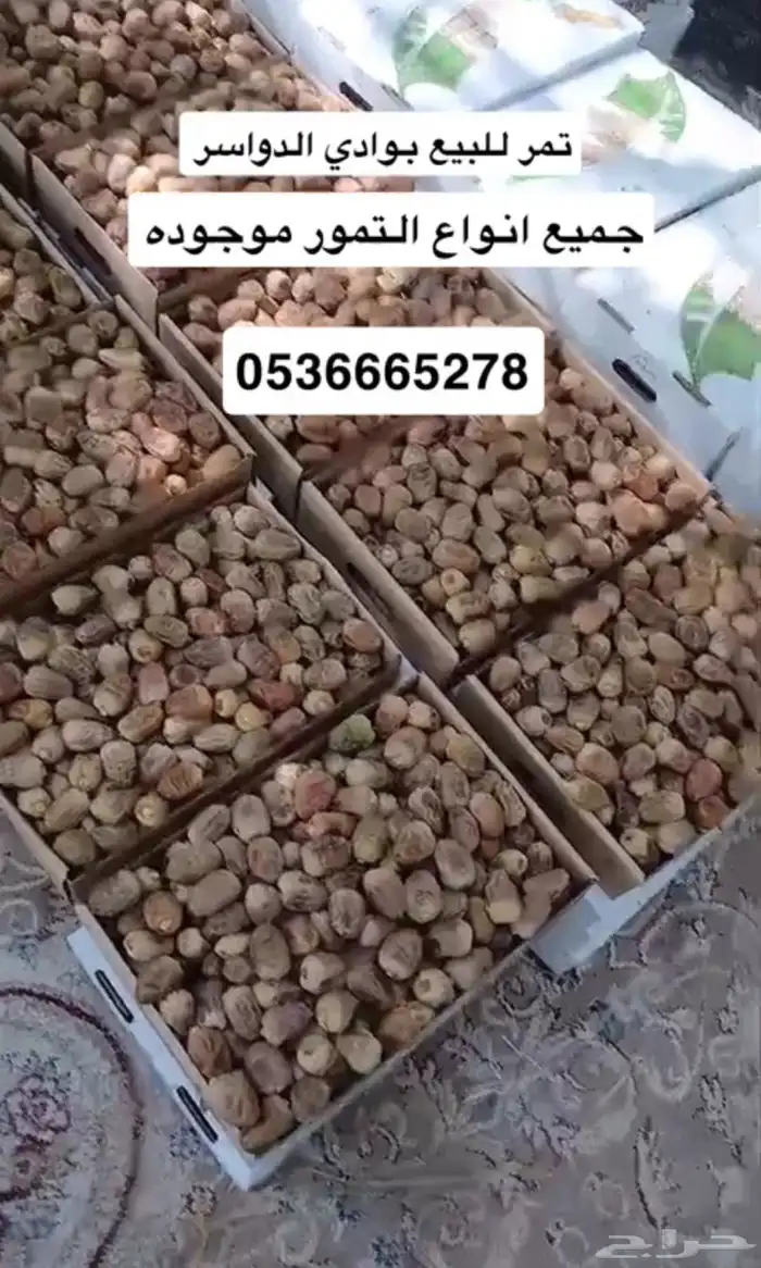 للبيع جميع انواع التمور الفاخره بوادي الدواسر 1