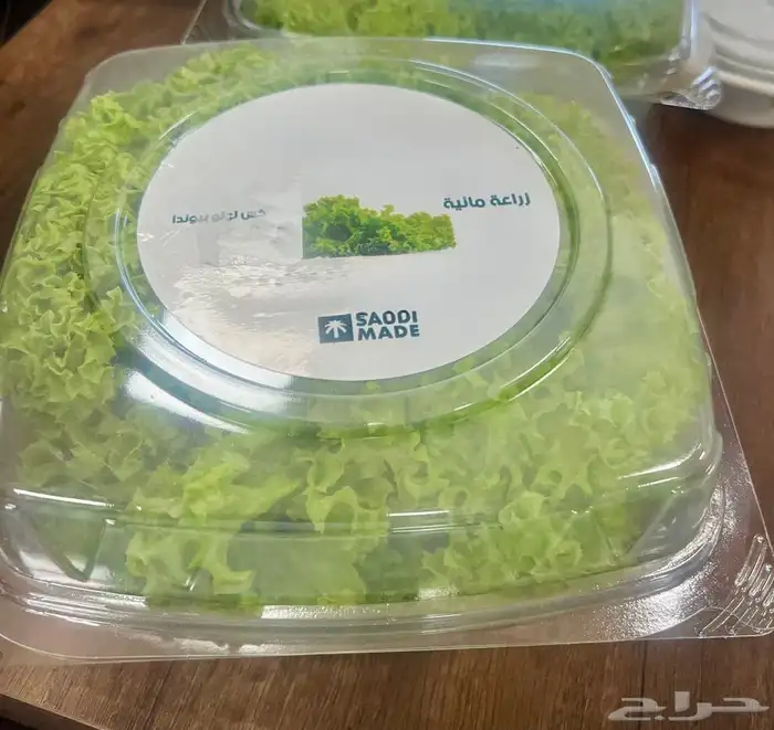 خس لولو بيوندا 0