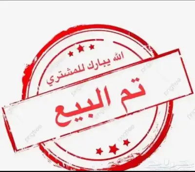 للبيع تيس هولندي تم البيع الله يبارك للمشتري خارج الموقع 0