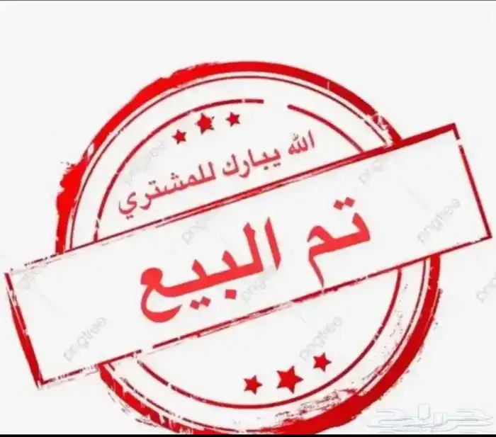 للبيع تيس هولندي تم البيع الله يبارك للمشتري خارج الموقع 0