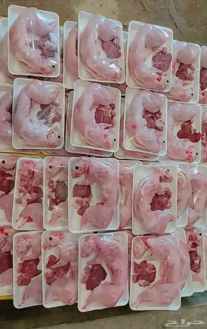 لحم أرنب بلدي مبرد طازج 0