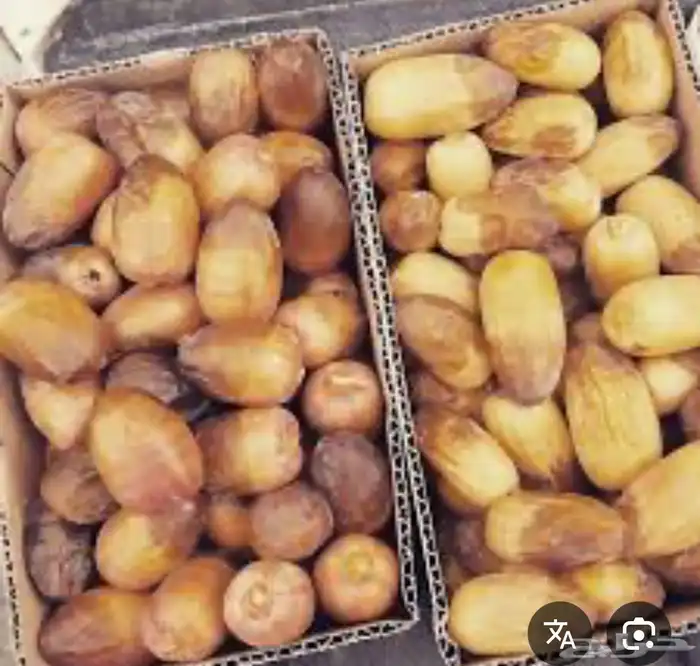 رطب صفري بيشة فاخر من الاخر 0