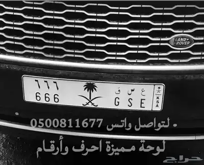 لوحه مميزة لها عدة معاني ع س ق 666 0