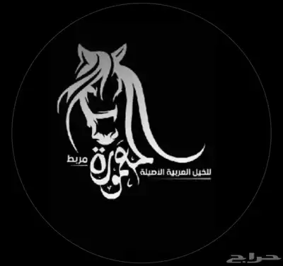 عسف مواكبة في مربط المعمورة 1