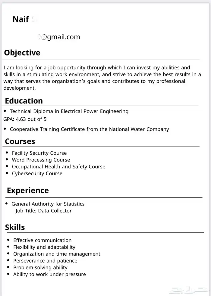 cv - سيرة ذاتية إحترافية 0