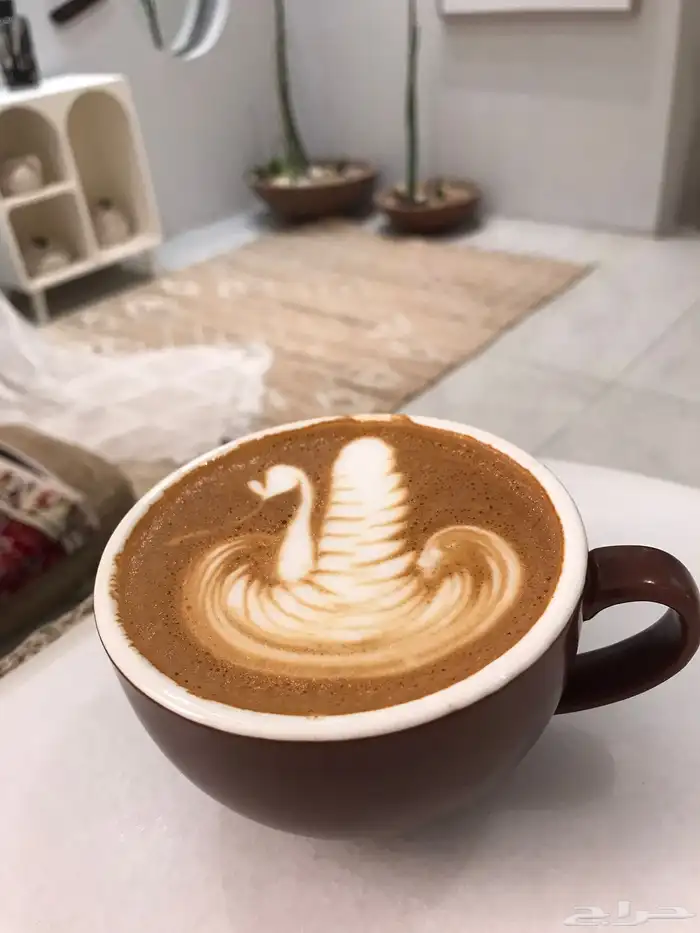 متوفر هيد باريستا مدينة الرياض 5