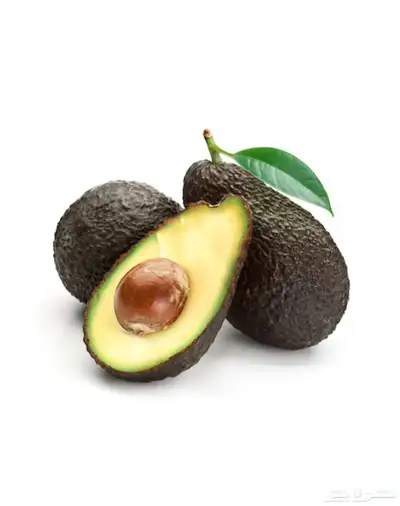 استيراد افوكادو كيني درجة اولى 0