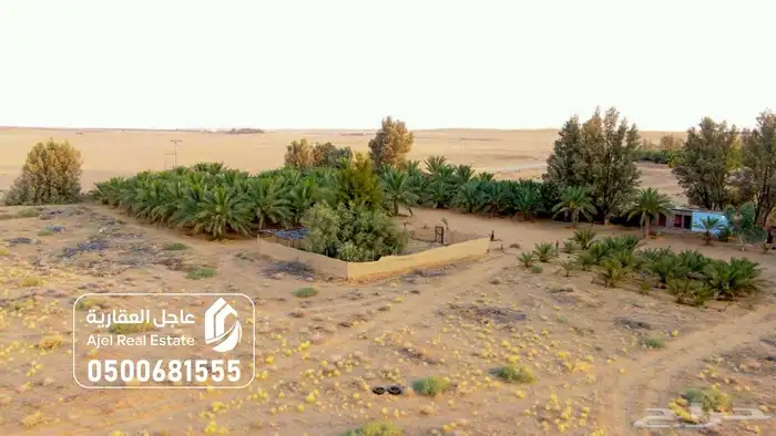 مزرعة للبيع في الهيلا شرق بقعاء بمنطقة حائل 24