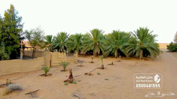 مزرعة للبيع في الهيلا شرق بقعاء بمنطقة حائل 6