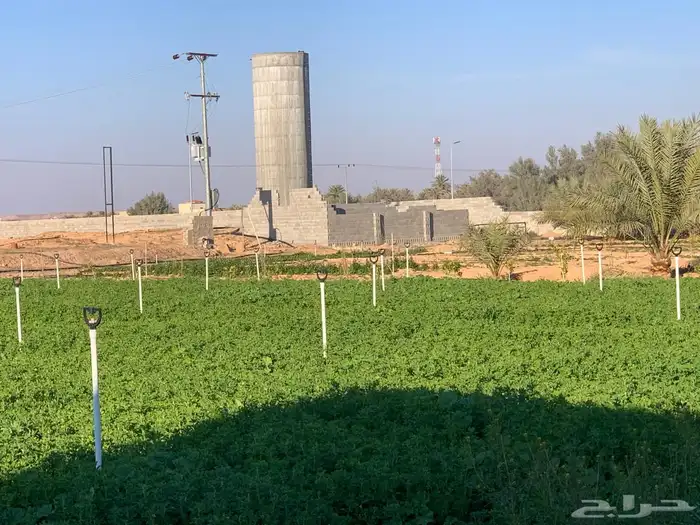 للبيع استراحة بالقواره المساحه 16000 متر على شارعين 35