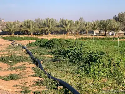 للبيع استراحة بالقواره المساحه 16000 متر على شارعين 24