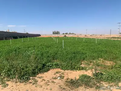للبيع استراحة بالقواره المساحه 16000 متر على شارعين 8