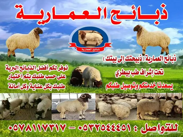 للبيع ذبايح نعيم بلدي 5