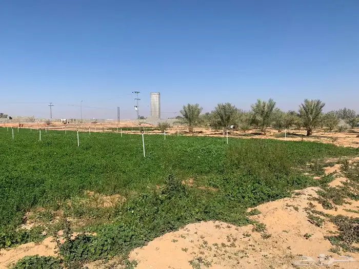للبيع استراحة بالقواره المساحه 16000 متر على شارعين 7