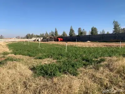 للبيع استراحة بالقواره المساحه 16000 متر على شارعين 3