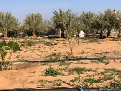 للبيع استراحة بالقواره المساحه 16000 متر على شارعين 9